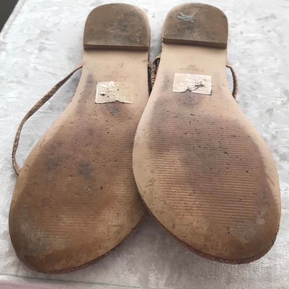 Reptile like thong flat sandals - Picture 3 of 3